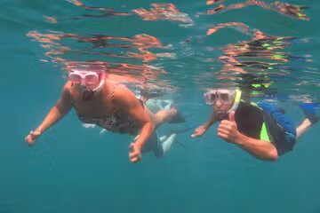 Pali Sea Cliff Discovery Tour